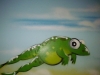 frogdetail